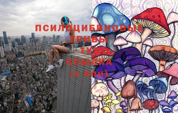 дмт Вязьма