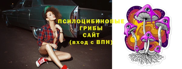крисы Вяземский