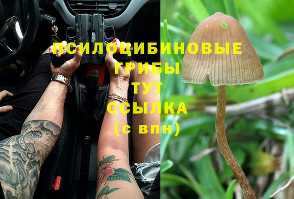 крисы Вяземский
