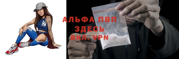 крисы Вяземский