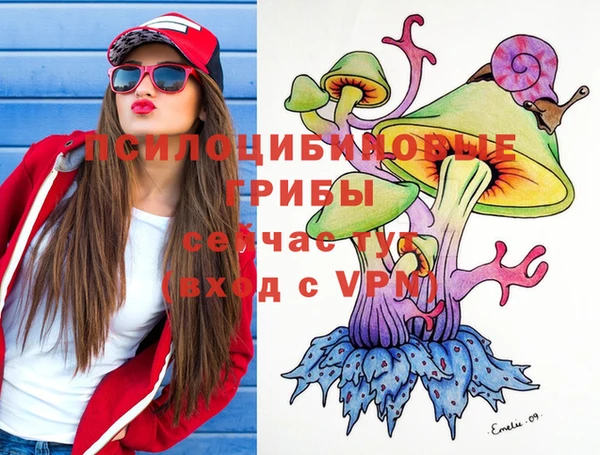 молекула духа Вязники